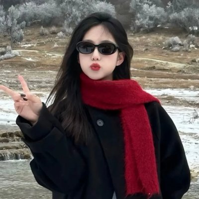 无耻之徒(美版) 第十季